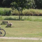 mountainbike tegen oud boeren hek