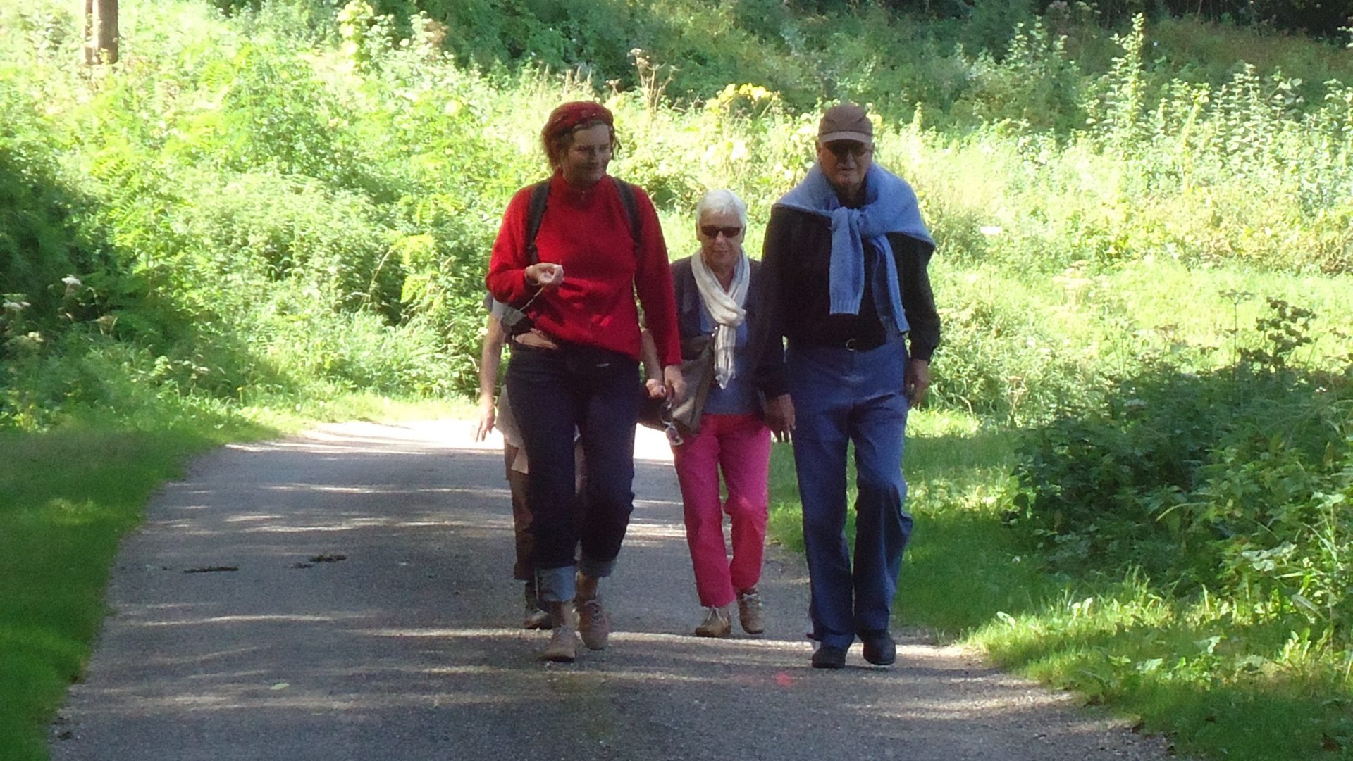 4 wandelaars op een wandelpad tussen het groen